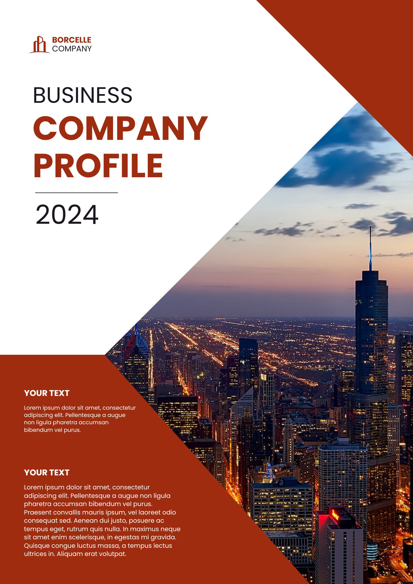Company profile